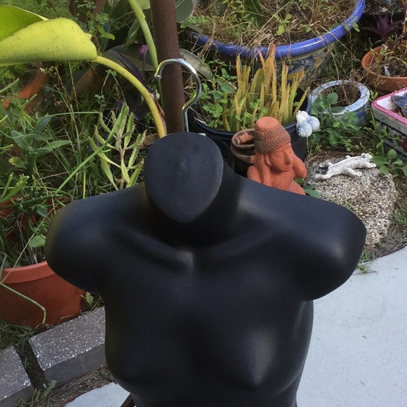 💃So Cool NWOT Half Torso Hanging Mannequin 💃 - Picture 7 of 8